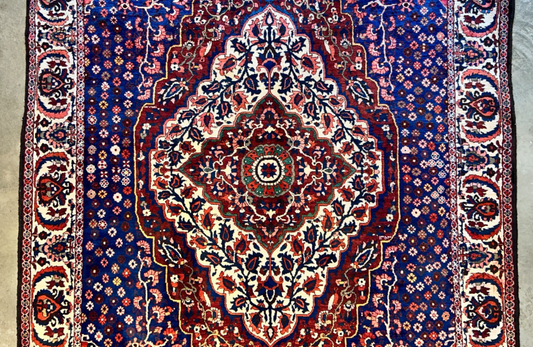8'4"x11'6" Hand-Knotted 100% Wool Pile Bakhtiarie Rug