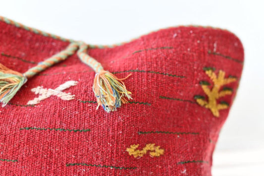 Tribal Cushion Pillows