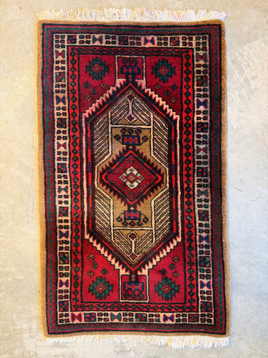 Hand-Knotted Bidjar Rug - 2’x3’5”