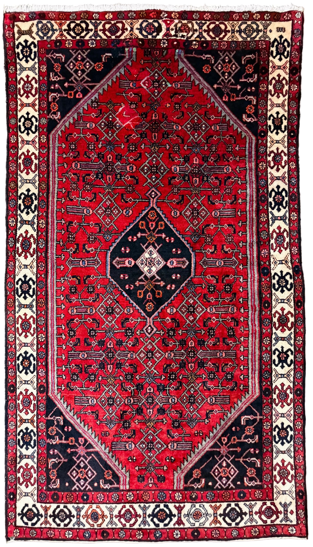 Hand-Knotted Persian Hamadan Rug - 5'x9'4"