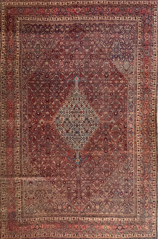 Hand-Knotted Persian Bakhtiari Rug - 9’9”x14’6”