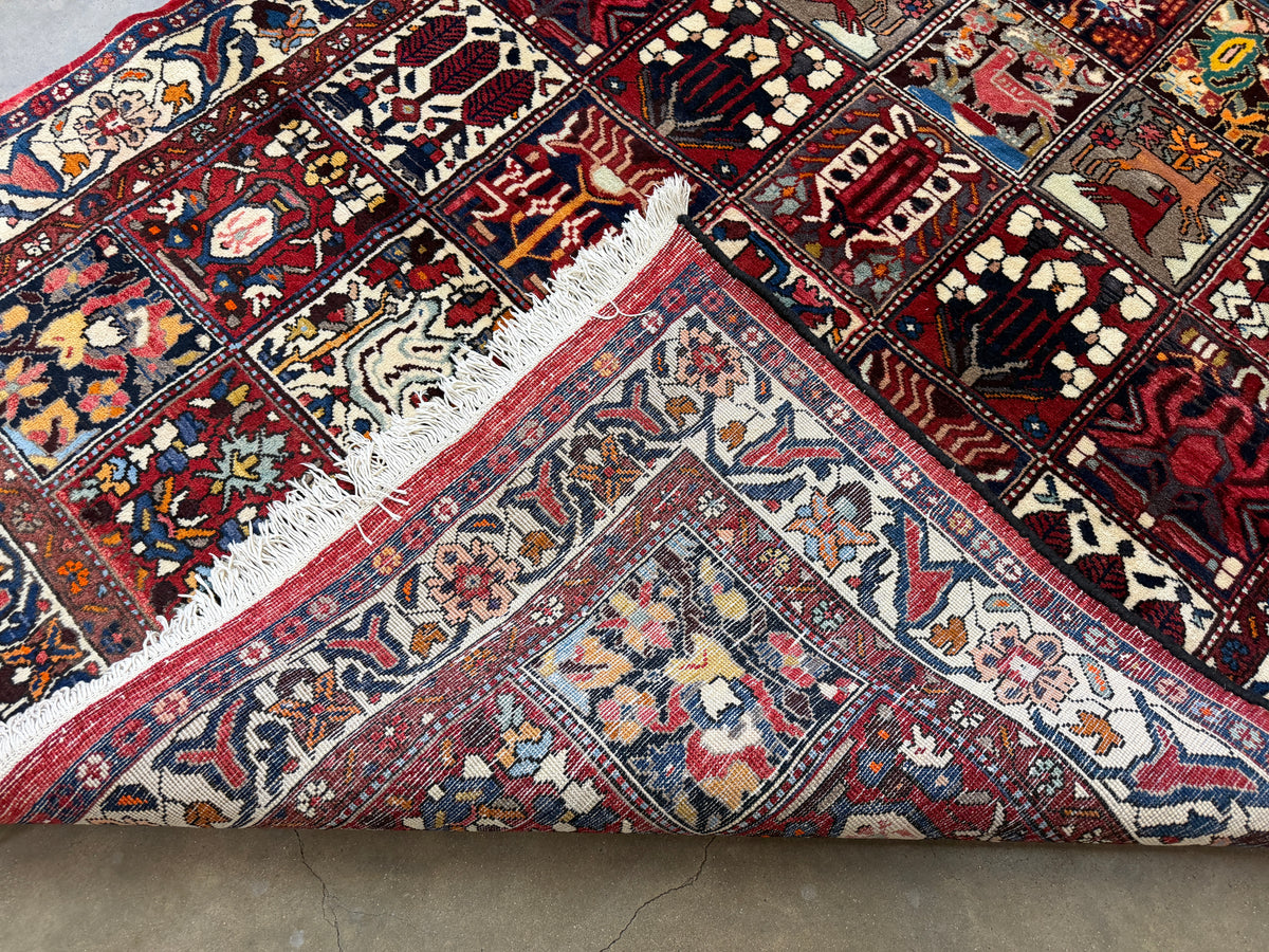 Hand-Knotted Persian Bakhtiari Rug - 5’5”x10’8”