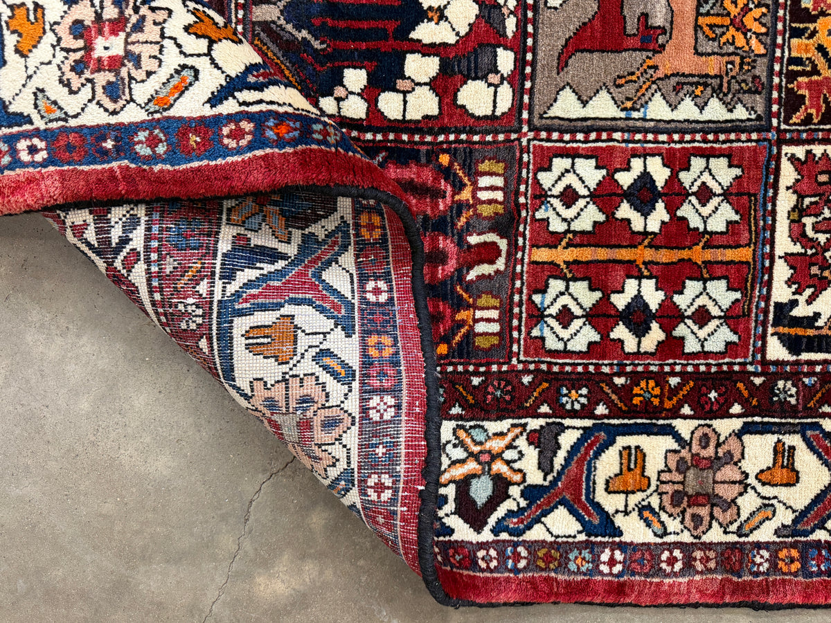 Hand-Knotted Persian Bakhtiari Rug - 5’5”x10’8”