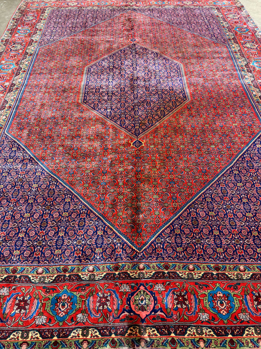 10’x13’ Hand-Knotted Wool Bidjar Persian Area Rug 10x13 Handmade Carpet
