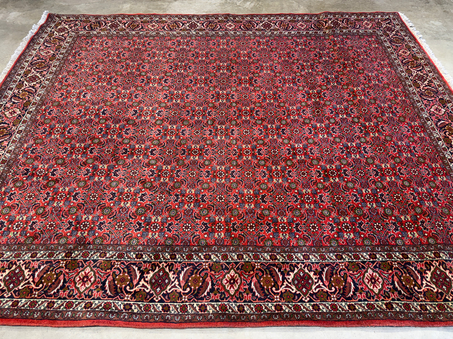 Hand-Knotted Persian Bidjar Rug - 6’7”x8’1”