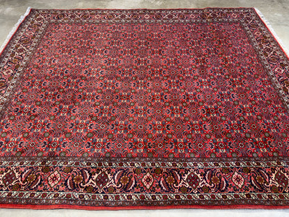 Hand-Knotted Persian Bidjar Rug - 6’7”x8’1”