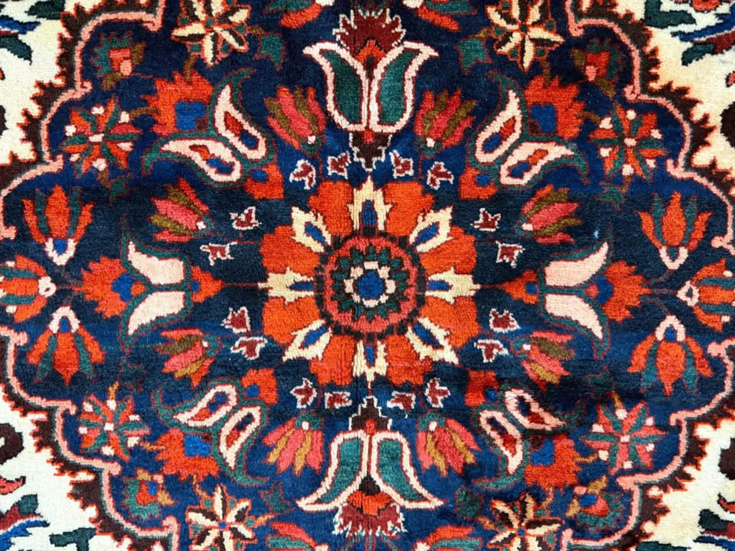 8’8”x12’2”Hand-Knotted Wool Bakhtiari Rug