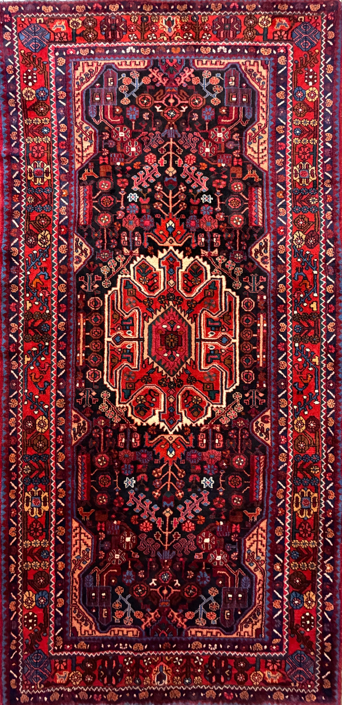 Hand-Knotted Persian Nahavand Rug - 4'10"x9'8"