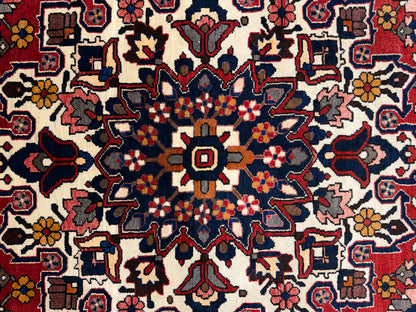 Hand-Knotted Persian Bakhtiari Rug - 6’11”x10’4”