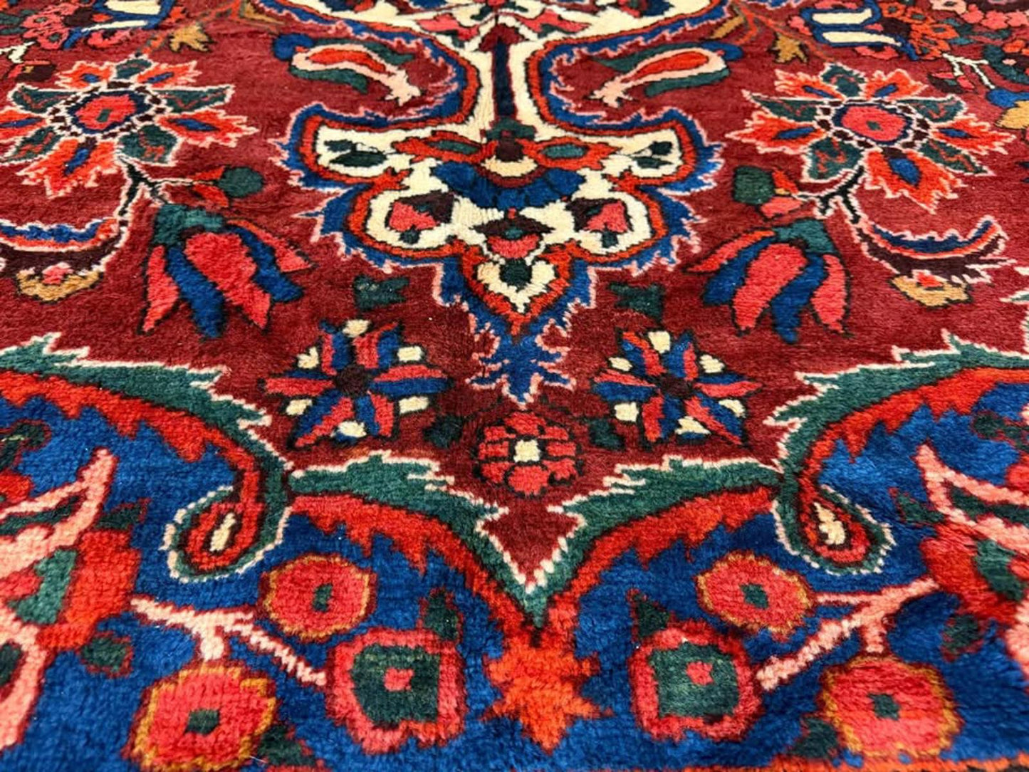 8’8”x12’2”Hand-Knotted Wool Bakhtiari Rug