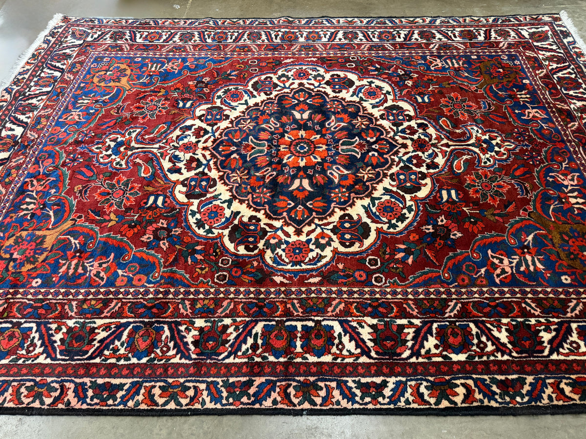 Hand-Knotted Persian Bakhtiari Rug - 8’8”x12’2”