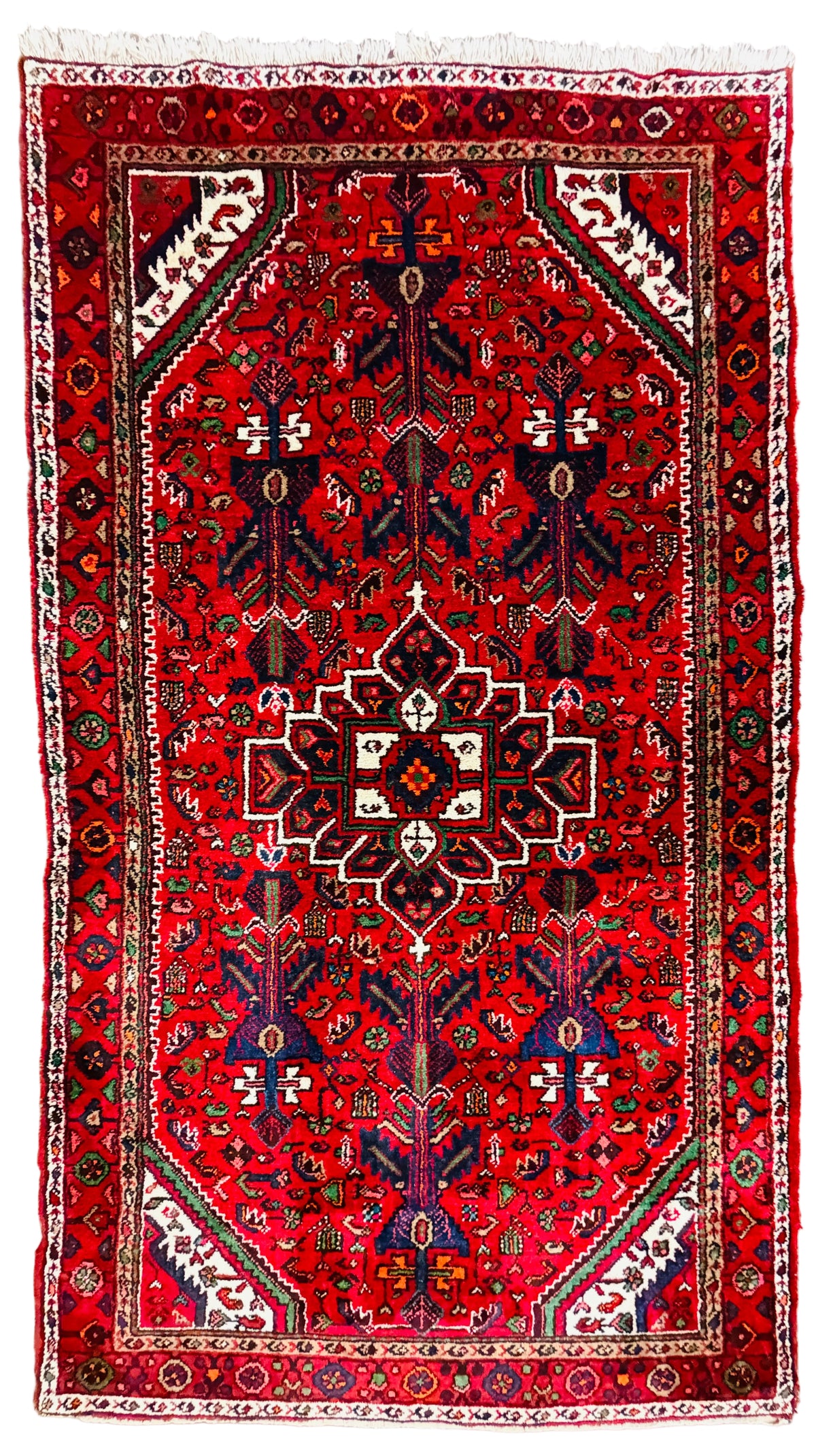 Hand-Knotted Persian Nahavand Rug - 5’1”x8’11”