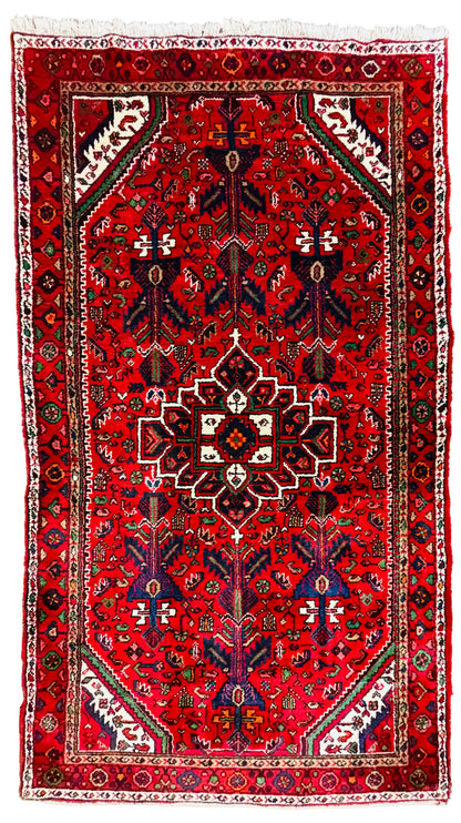 Hand-Knotted Persian Nahavand Rug - 5’1”x8’11”