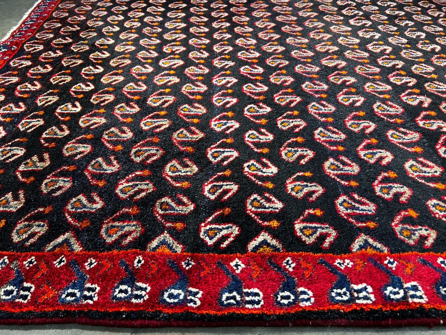 5' x 8'1" Hand-Knotted 100% Wool Pile Mosole Hamadane Area Rug - Carpet