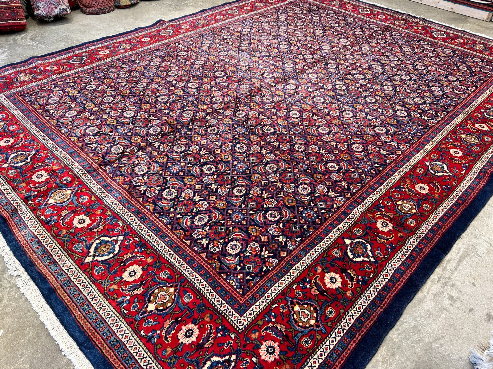 10'5"x14' Hand-Knotted 100% Wool Pile All-over Herati Rug