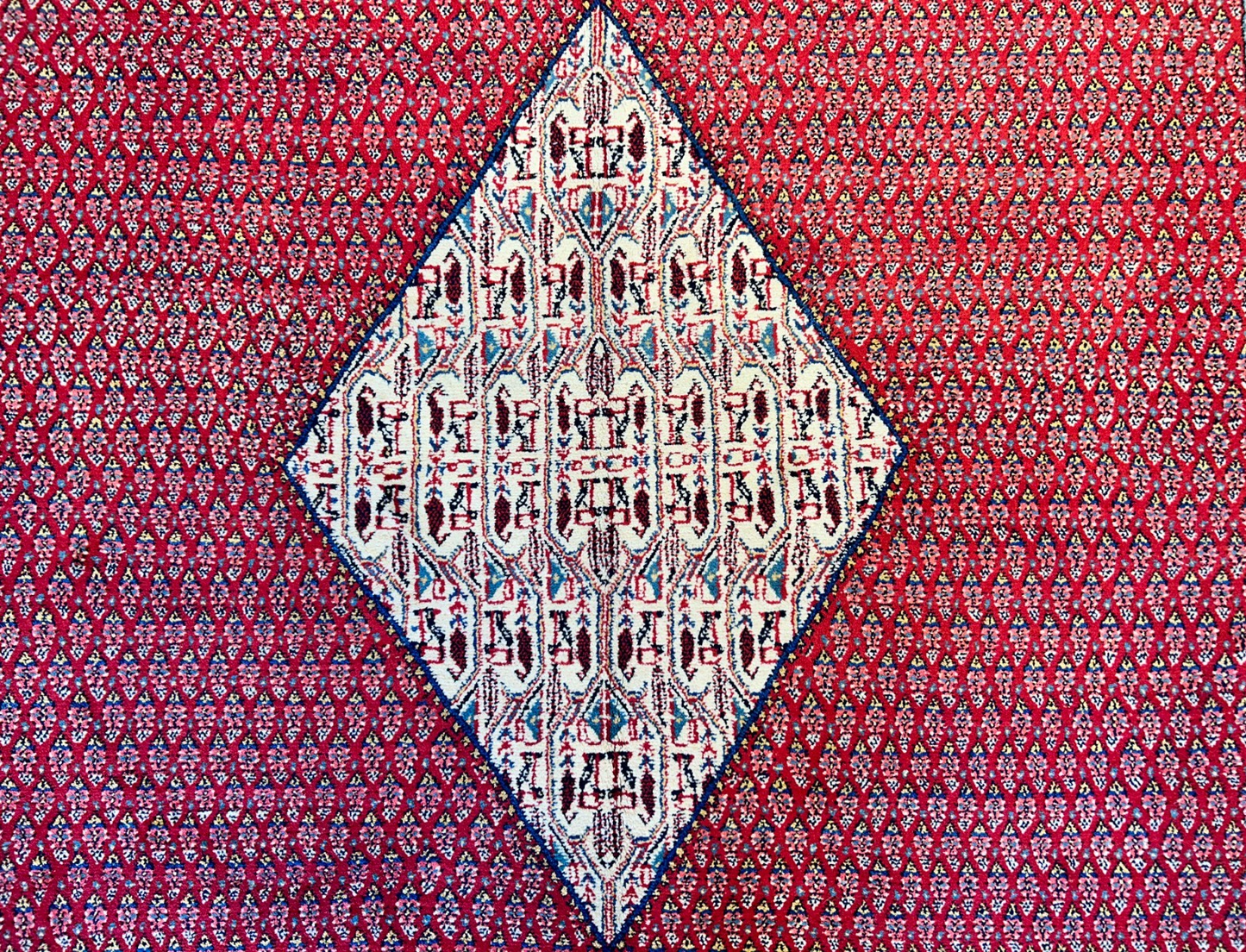 8'5"x12'1" Hand-Knotted 100% Wool Pile Hamadane Rug