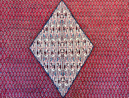 8'5"x12'1" Hand-Knotted 100% Wool Pile Hamadane Rug