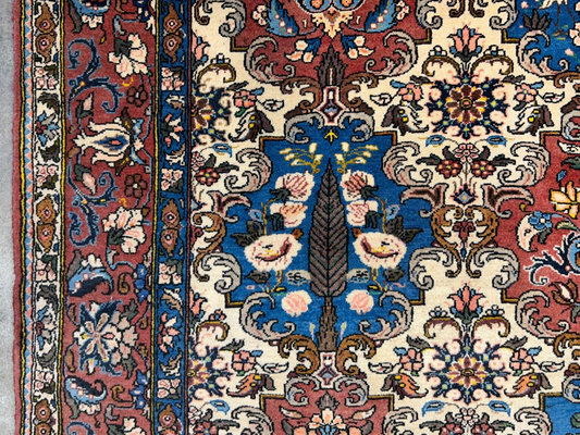 6'7"x9'5" Hand-Knotted 100% Lamb Wool Bakhtiarie Carpet - Area Rug