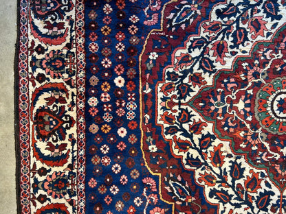 8'4"x11'6" Hand-Knotted 100% Wool Pile Bakhtiarie Rug