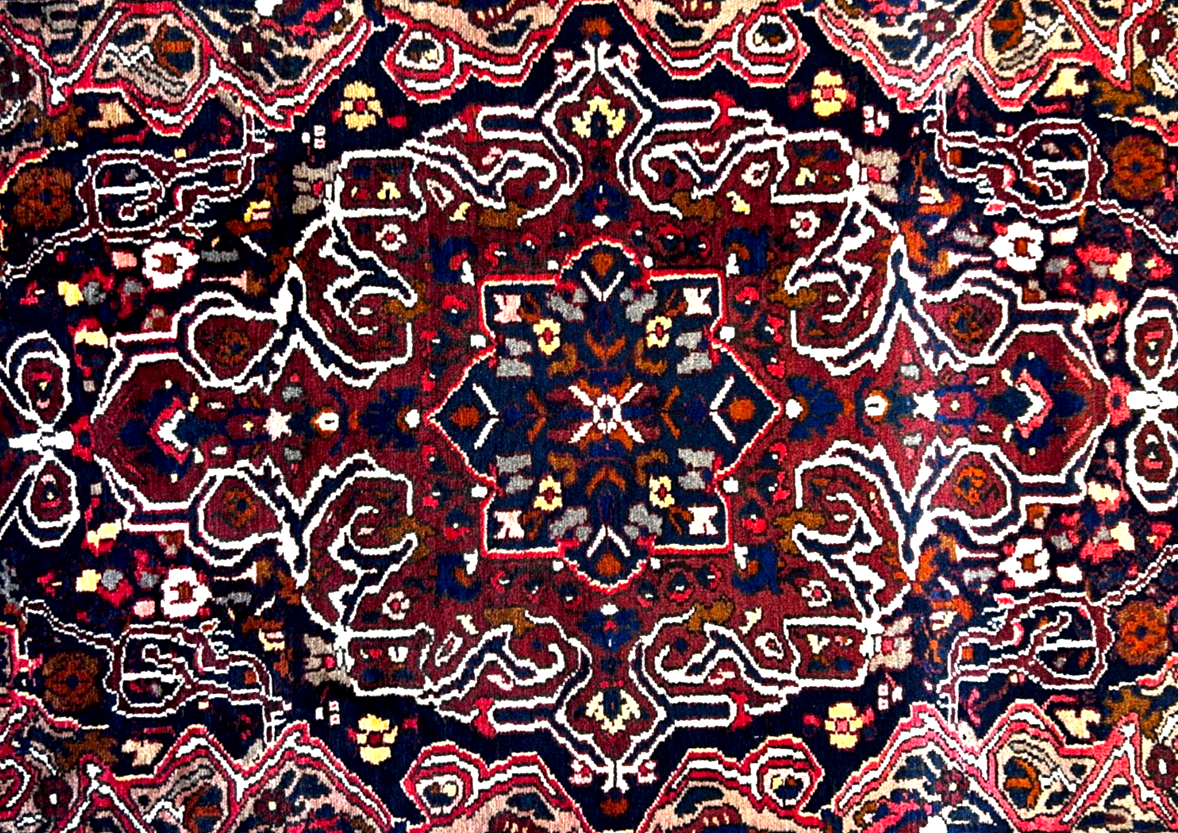 5'5" x 8'10" Hand-Knotted 100% Wool Pile Bakhtiarie Area Rug - Carpet