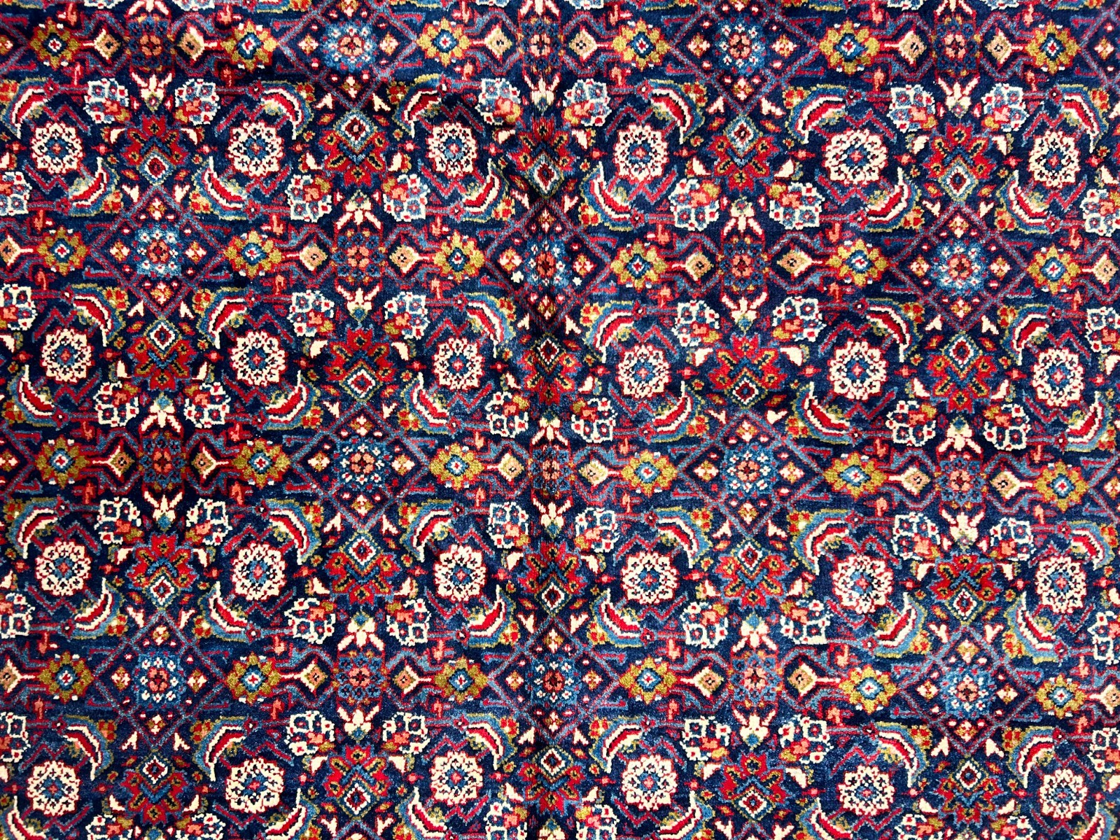 10'5"x14' Hand-Knotted 100% Wool Pile All-over Herati Rug