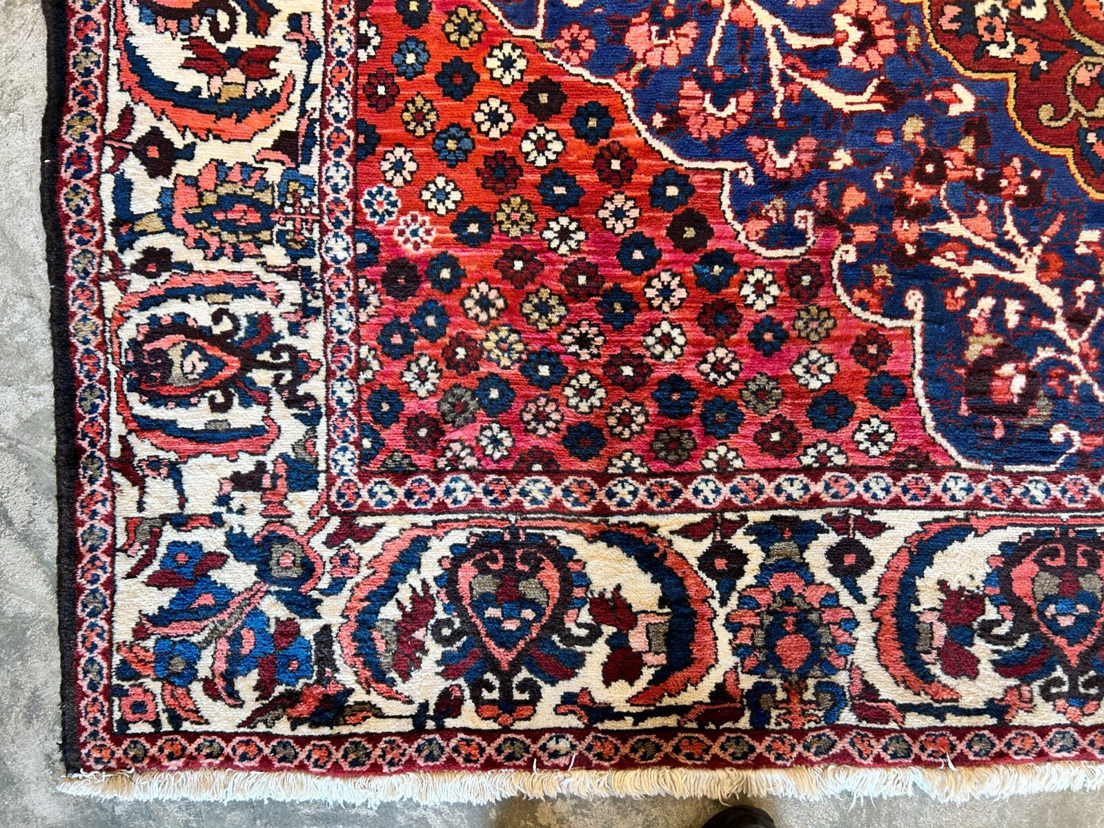 8'4"x11'6" Hand-Knotted 100% Wool Pile Bakhtiarie Rug