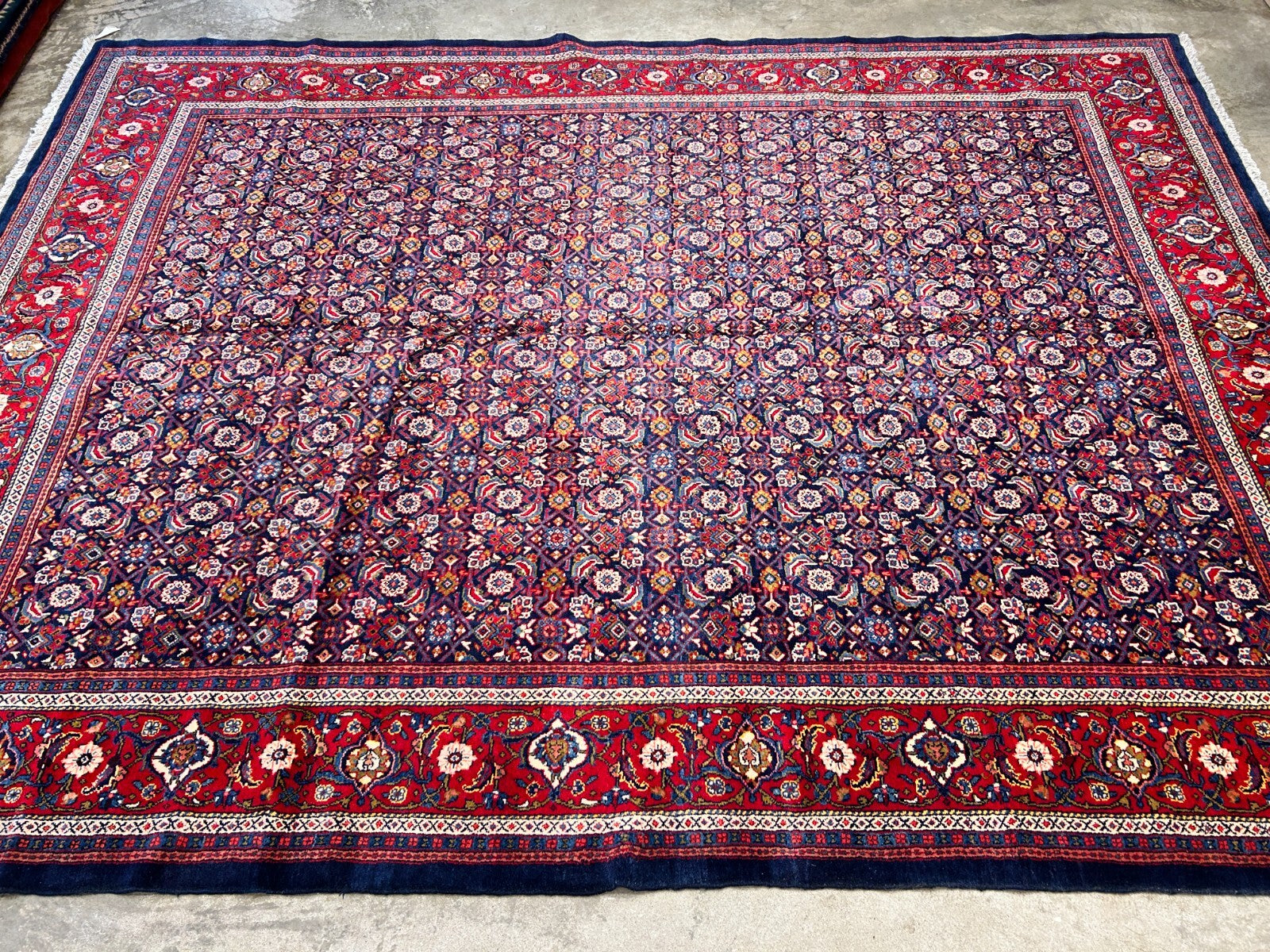10'5"x14' Hand-Knotted 100% Wool Pile All-over Herati Rug