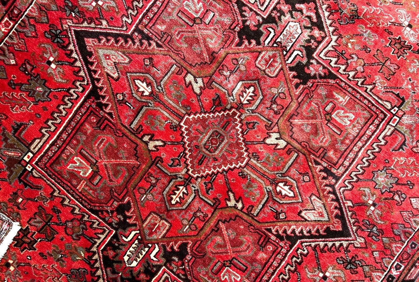 8'3" x 11'0" Hand-Knotted 100% Wool Pile Herize Area Rug - Area Carpet