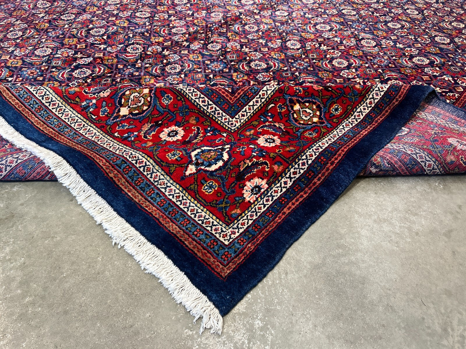 10'5"x14' Hand-Knotted 100% Wool Pile All-over Herati Rug