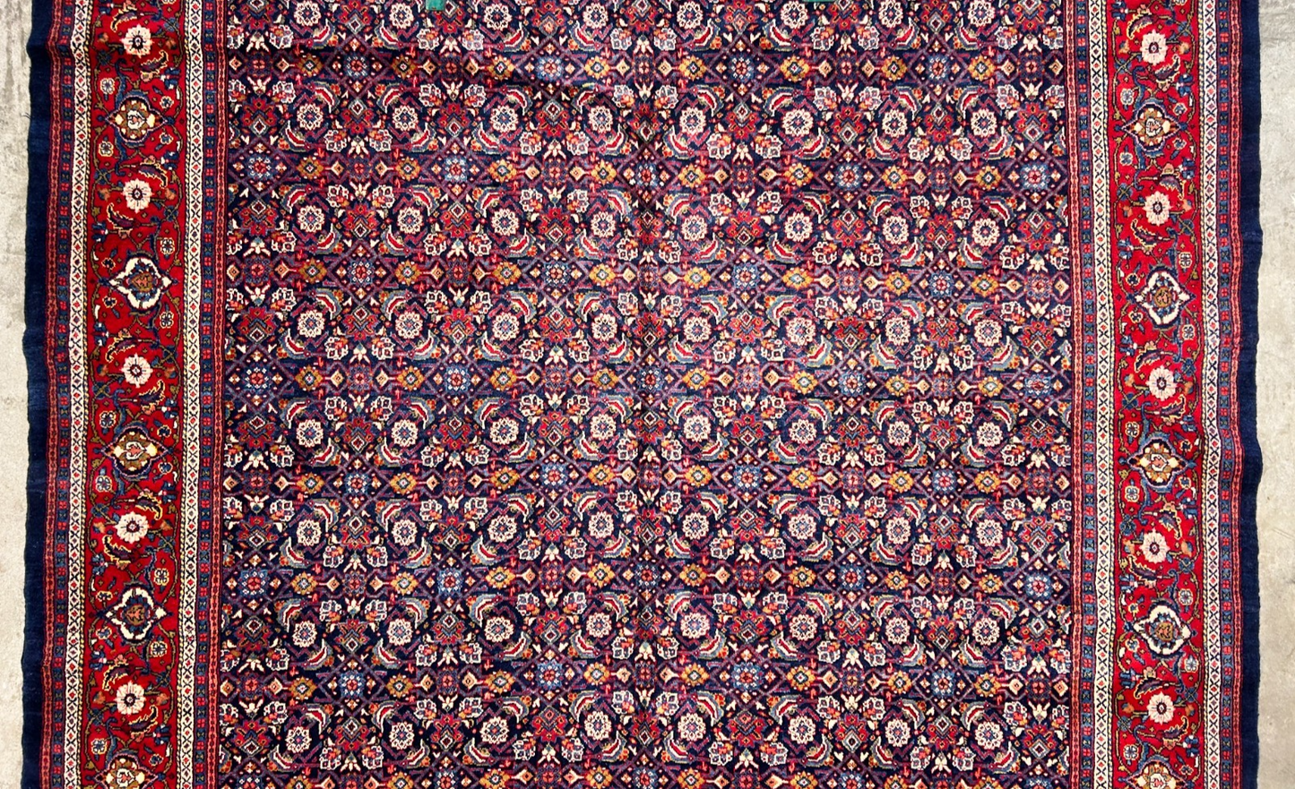 10'5"x14' Hand-Knotted 100% Wool Pile All-over Herati Rug