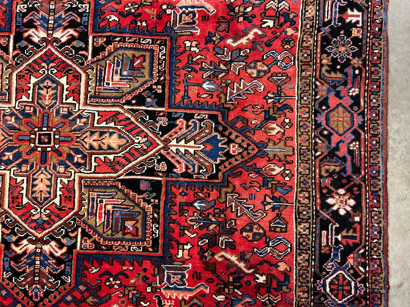 8'2"x11'1" Hand-Knotted 100% Wool Pile Herize Rug