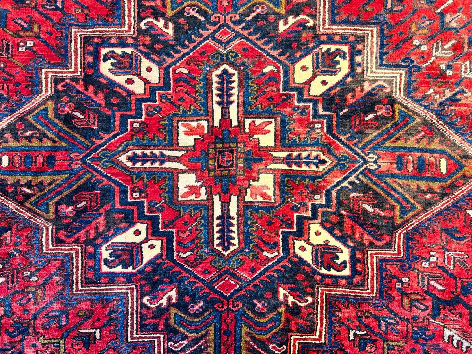 7'9"x11'2" Hand-Knotted 100% Wool Pile Herize Rug