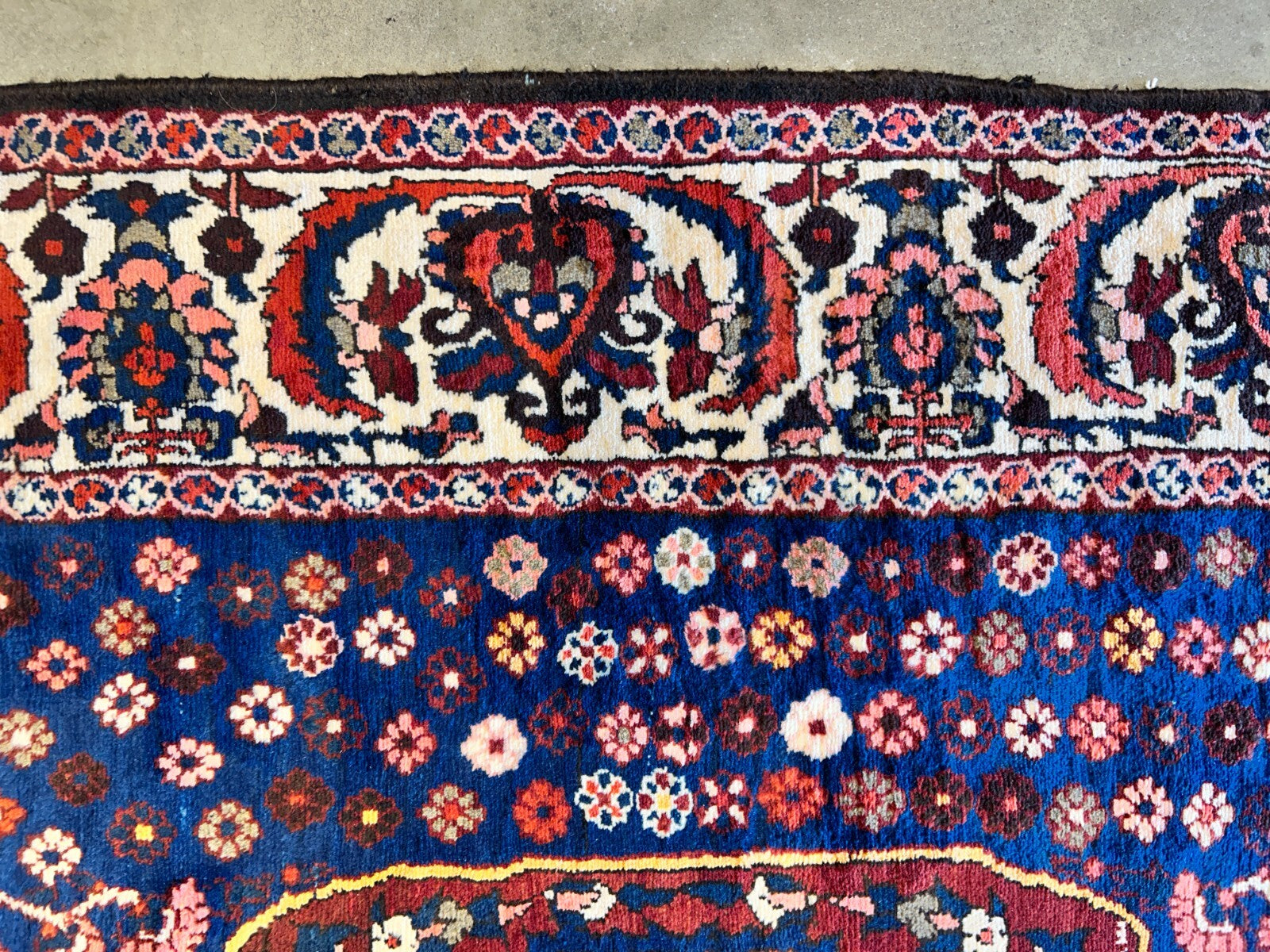 8'4"x11'6" Hand-Knotted 100% Wool Pile Bakhtiarie Rug