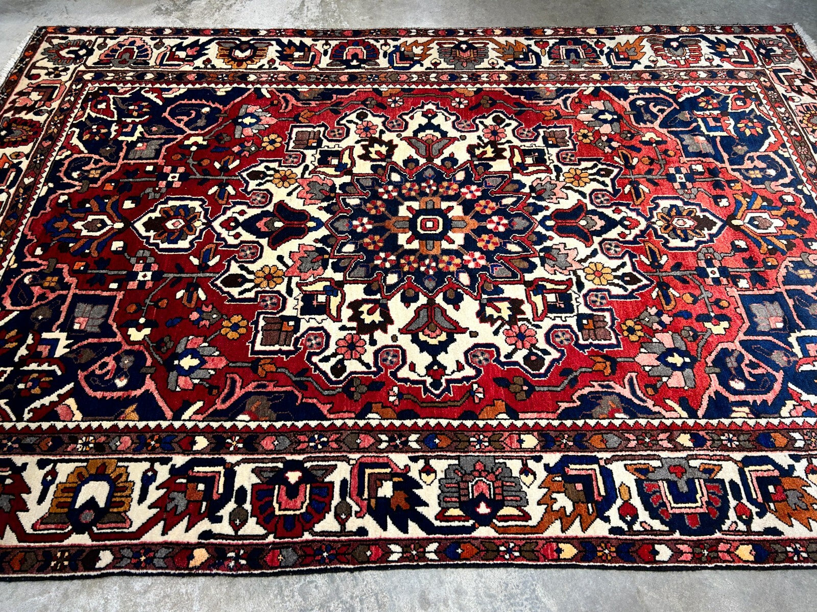 6'11"x10'4" Hand-Knotted 100% Wool Carpet - Bakhtiarie Area Rug