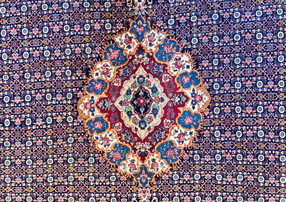 8'11"x11'8" Hand-Knotted 100% Wool Pile Bidjar Rug