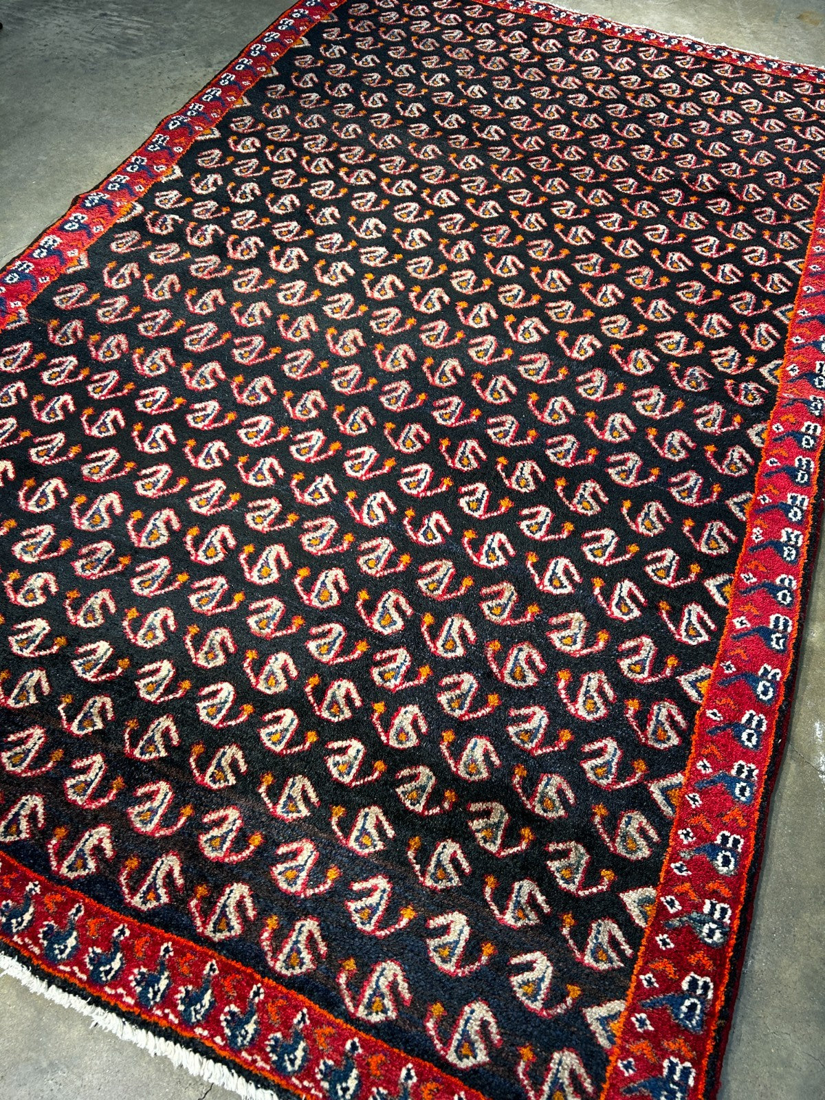 5' x 8'1" Hand-Knotted 100% Wool Pile Mosole Hamadane Area Rug - Carpet