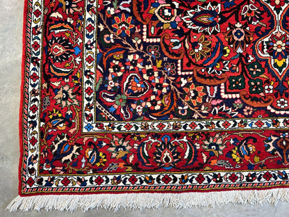 6'11"x9'8" Hand-Knotted 100% Wool Pile Bakhtiarie Carpet - Area Rug