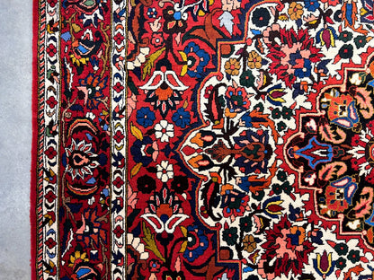 6'11"x9'8" Hand-Knotted 100% Wool Pile Bakhtiarie Carpet - Area Rug