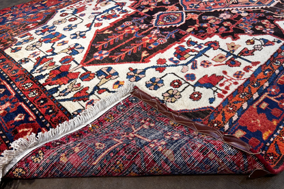 5'4" x 10'4" Hand-Knotted 100% Wool Nahavande Area Rug