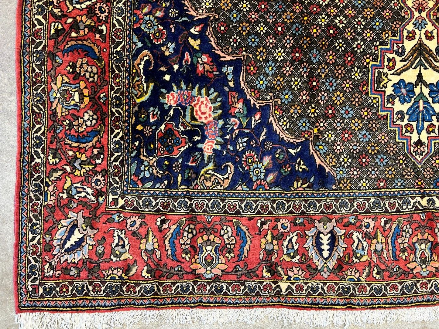 6'6"x10'0" Hand-Knotted 100% Wool Pile Bakhtiarie Carpet - Area Rug