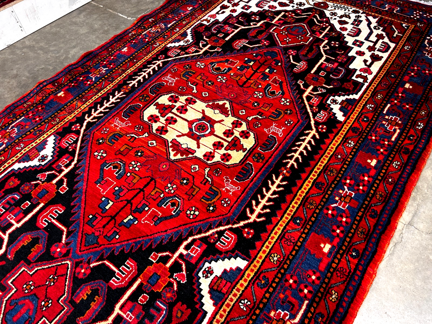 5'10" x 10'11" Hand-Knotted 100% Wool Pile Nahavande Area Rug