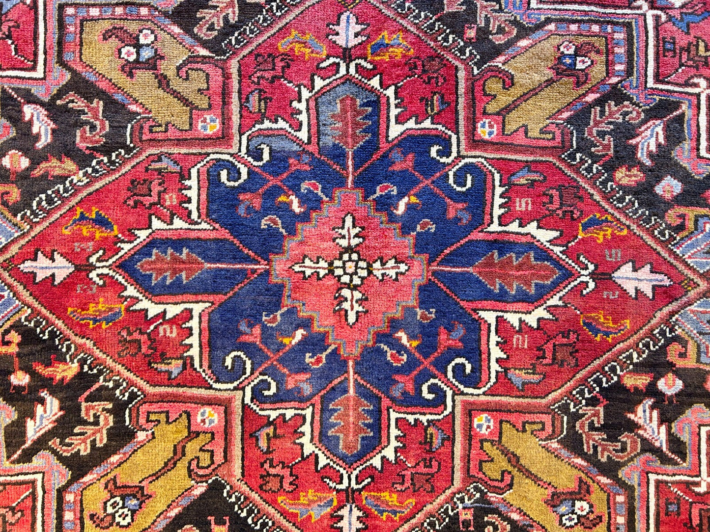 8'3"x11'5" Hand-Knotted 100% Wool Pile Herize Rug