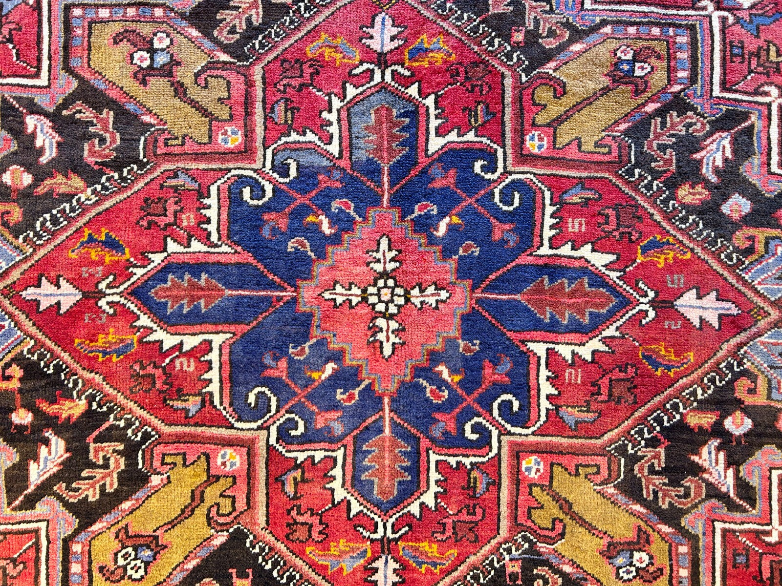 8'3"x11'5" Hand-Knotted 100% Wool Pile Herize Rug