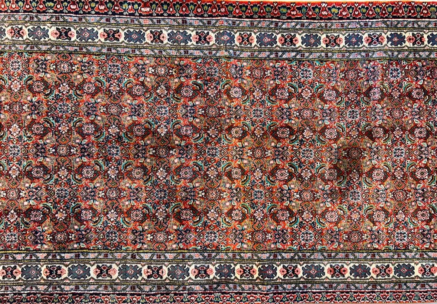 2'11"x11'6" Hand-Knotted 100% Wool Pile Sarabi Runner