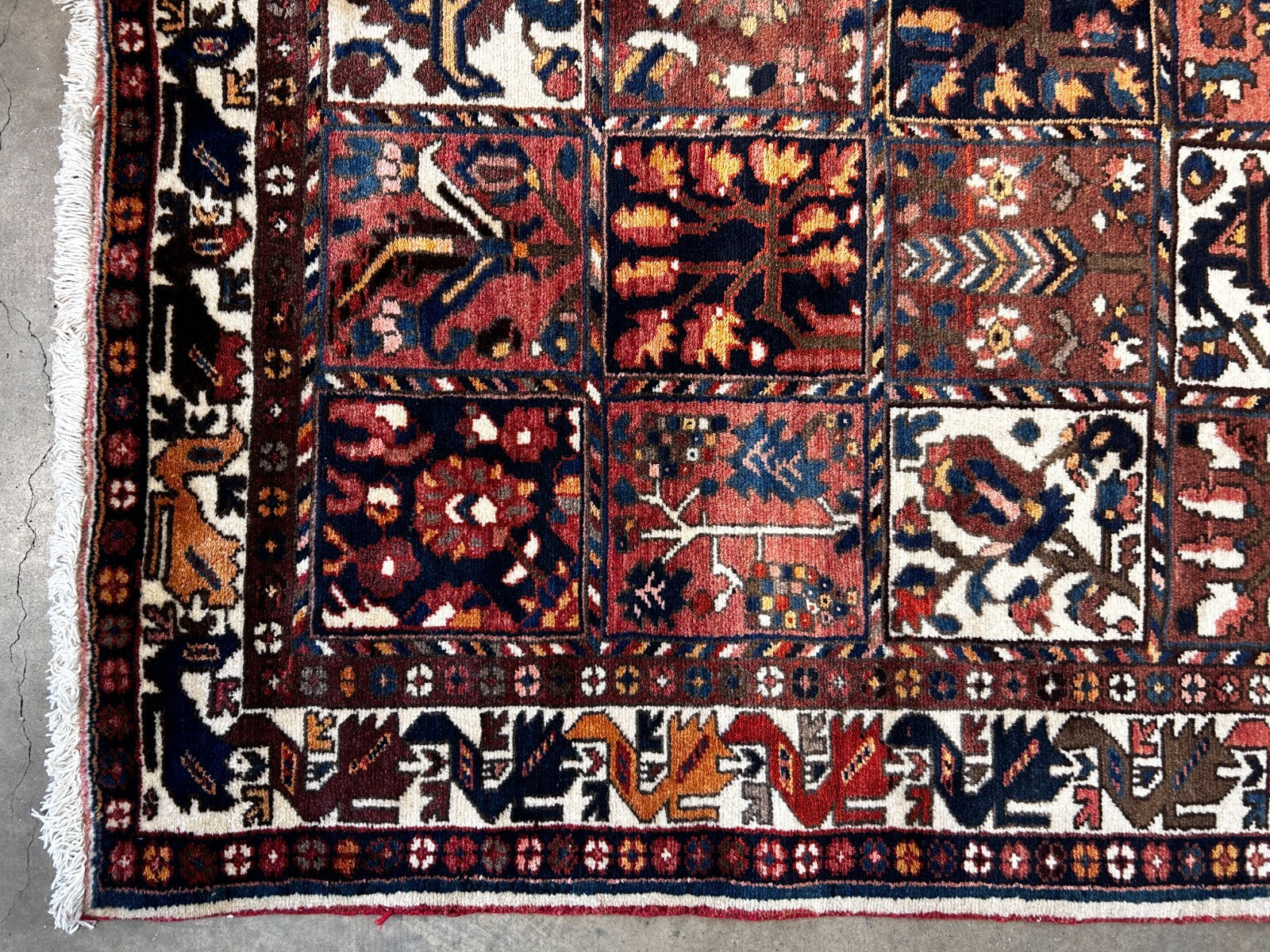 5'2" x 9'9" Hand-Knotted 100% Wool Pile Bakhtiarie Area Rug - Carpet