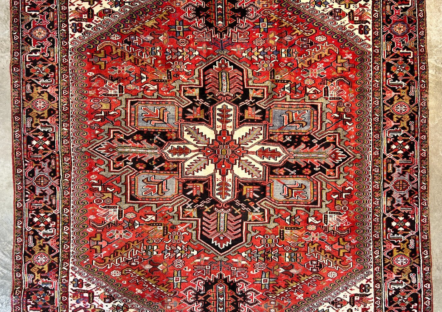 9'x11'5" Hand-Knotted 100% Wool Pile Herize Rug