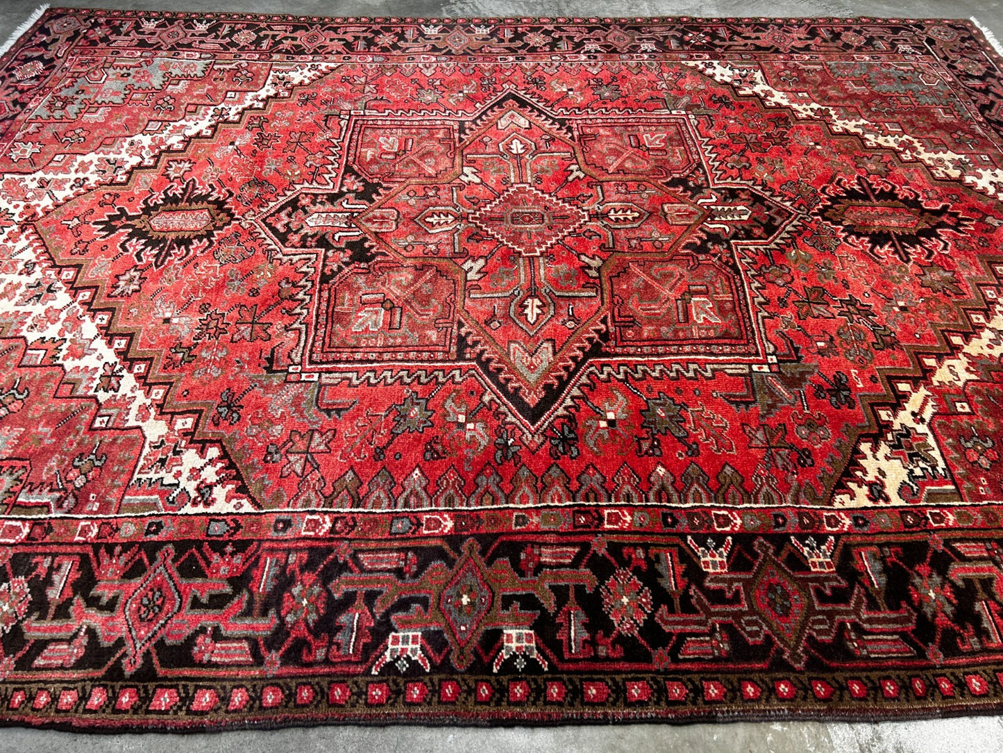 8'3" x 11'0" Hand-Knotted 100% Wool Pile Herize Area Rug - Area Carpet