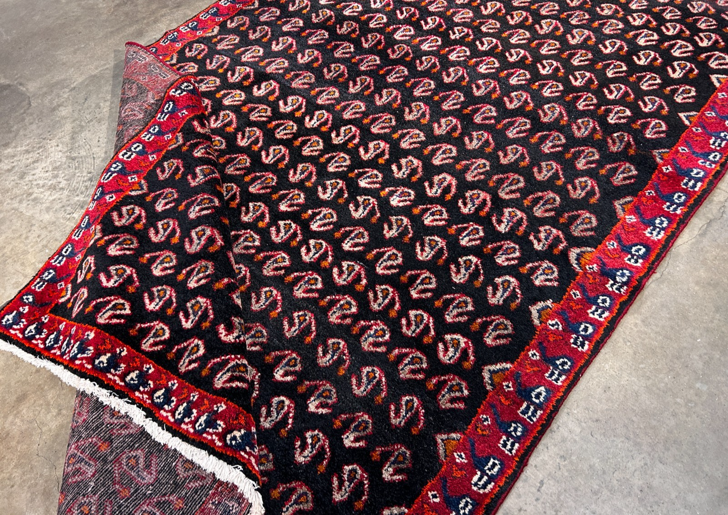 5' x 8'1" Hand-Knotted 100% Wool Pile Mosole Hamadane Area Rug - Carpet