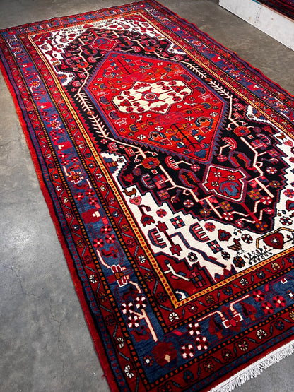 5'10" x 10'11" Hand-Knotted 100% Wool Pile Nahavande Area Rug