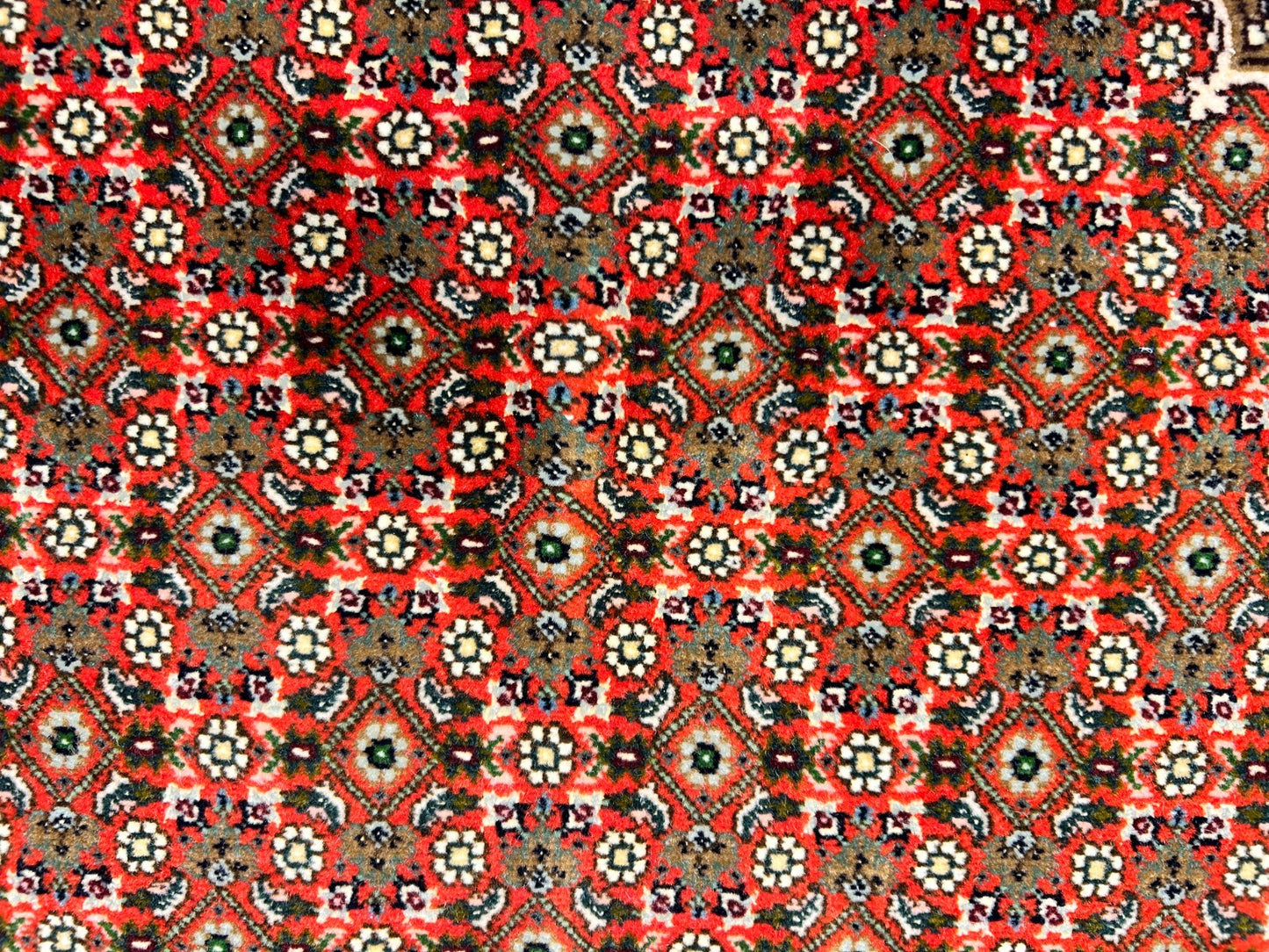 6'6"x9'6" Fine Hand-Knotted Wool & Silk Blend Tabrize Mahi Carpet - Area Rug